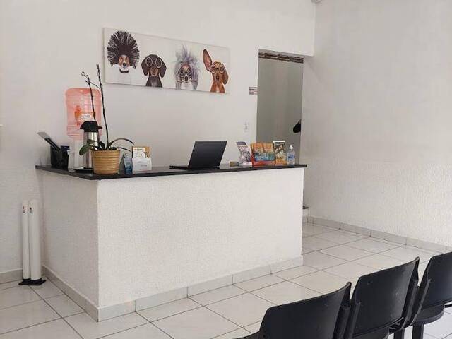 #480 - Clínica Veterinária para Venda em São Paulo - SP - 2