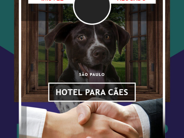 #6.000 - Hotel para cães para Venda em São Paulo - SP
