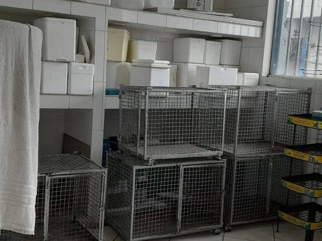 Clinica Veterinária e Pet Shop para Venda em Guarulhos - 5