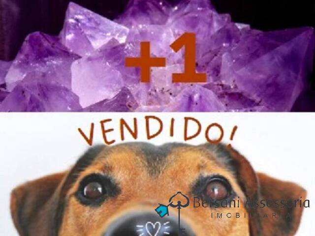 #103 - Pet Shop para Venda em São Paulo - SP - 1