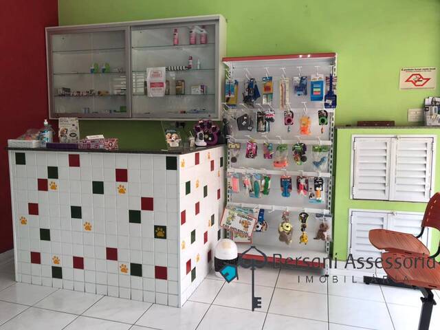 #120 - Banho e Tosa para Venda em São Paulo - SP