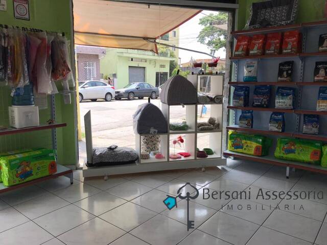 #120 - Banho e Tosa para Venda em São Paulo - SP - 2