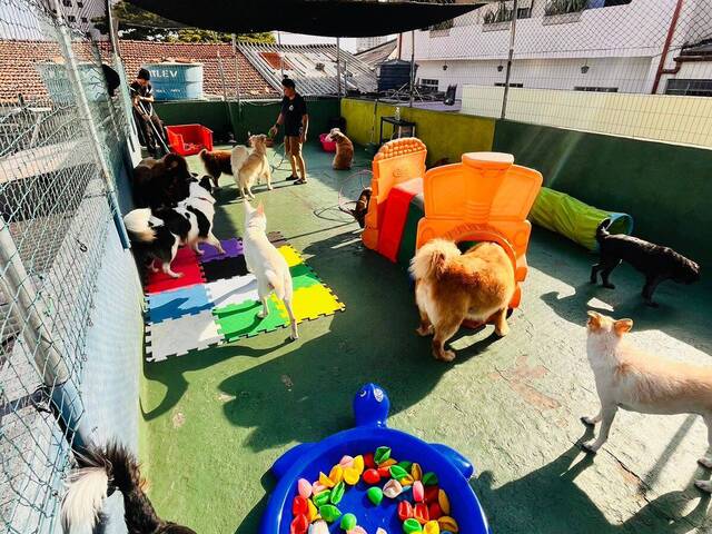 #850* - Creche/ Hotel/Banho e Tosa para Venda em São Paulo - SP - 3
