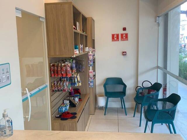 #251 - Banho e Tosa para Venda em São Paulo - SP - 1