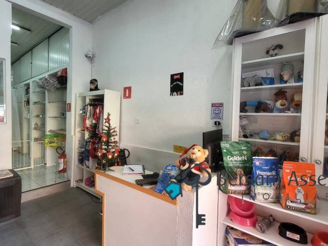 #71 - Banho e Tosa para Venda em São Paulo - SP - 1