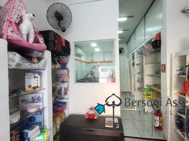 #71 - Banho e Tosa para Venda em São Paulo - SP - 2