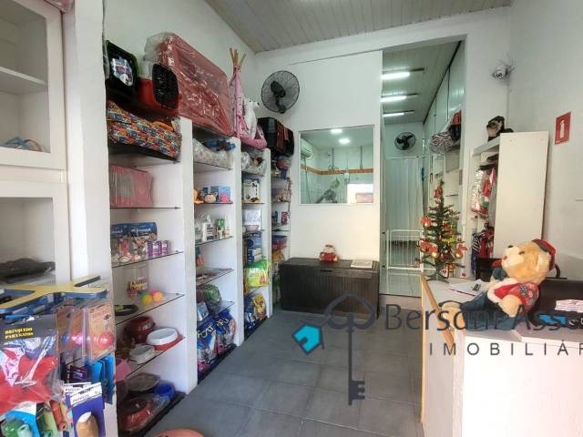 #71 - Banho e Tosa para Venda em São Paulo - SP - 3