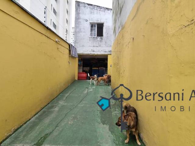 #700 - Creche/ Hotel/Banho e Tosa para Venda em São Paulo - SP - 2