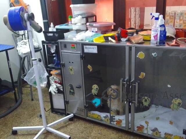 #125 - Pet Shop e Consultório Veterinário para Venda em São Paulo - SP - 3