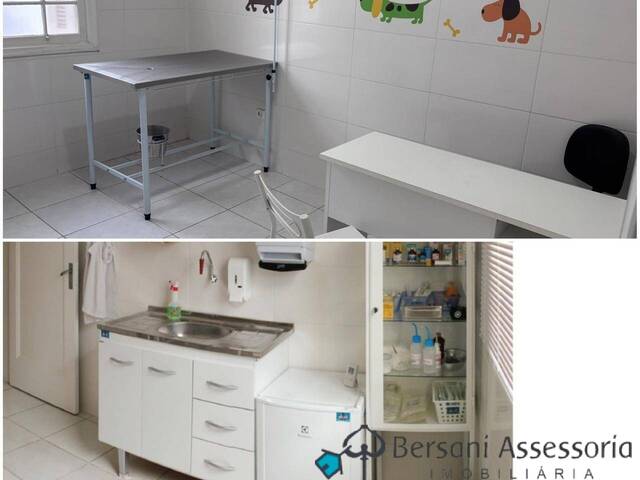 #90 - Pet Shop para Venda em São Paulo - SP