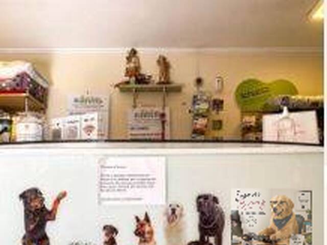 #850 - Pet Shop e Clinica Veterinária para Venda em São Paulo - SP