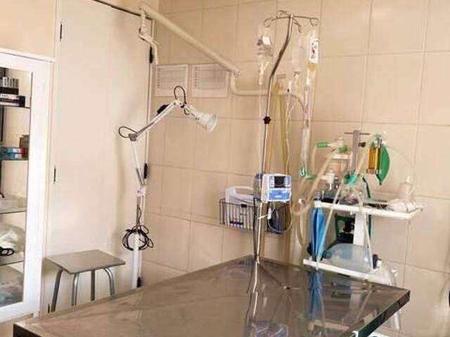 Pet Shop e Clinica Veterinária para Venda em São Paulo - 5