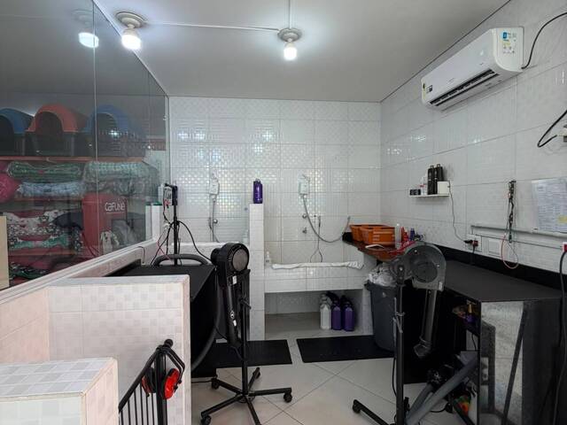 Pet Shop para Venda em São Paulo - 5